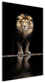 Üvegkép Portré egy oroszlán osv-118199528