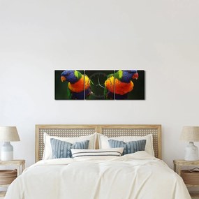 Papagájok képe (órával) (90x30 cm)