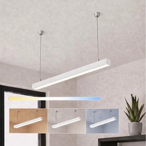 Brilagi - LED függeszték FULLDAY LED/20/30/40W/230V 2700/4000/6000K 120cm fehér