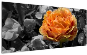 Virág képe (120x50 cm)