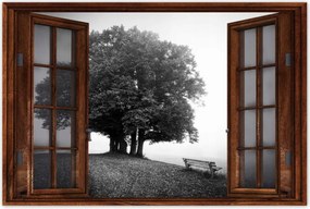 Poszterek 90x60 Tájkép szürke Bw