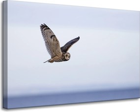 Vászonkép Állatok Madár Bagoly 90x60 cm