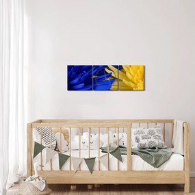 Kép - virág részlet (órával) (90x30 cm)