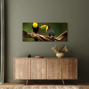 Ülő tukánok képe, Costa Rica (120x50 cm)