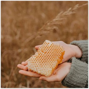 Poszterek 100x100 Méz Méhészet