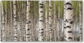 Fotó vászonkép edzett üveg Nyírerdő 140x70