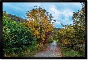 Poszterek keretben 60x40 Őszi fák