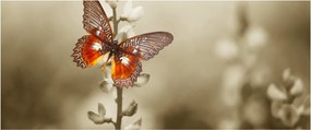 Pillangó képe (120x50 cm)