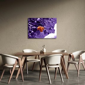 Kép - Tengerpart (70x50 cm)