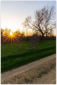 Poszterek 80x120 Mező út Fák Mezők