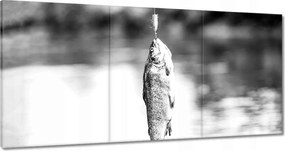 Vászonkép 180x90 Pisztráng a horogon hal