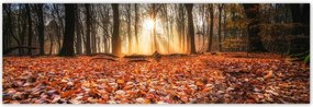 Poszterek 200x66 Őszi kilátás Tájkép