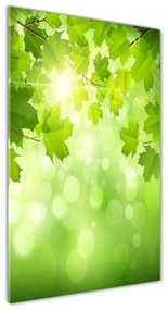 Egyedi üvegkép Zöld levelek osv-61080240