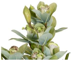 Műnövény (magasság 110 cm) Orchid – Ixia