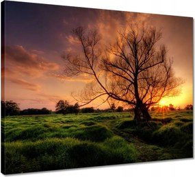 Vászonkép 50x40 Egy este a croissant-ban