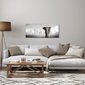 Kép -Elefánt egy nagyvárosban, fekete-fehér változat (120x50 cm)