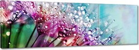 Vászonkép 60x20 Harmatcseppek Pitypang