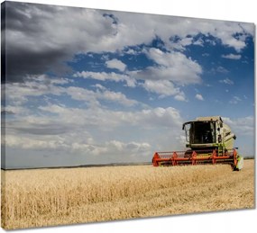 Vászonkép 50x40 Kombájn az aratás idején