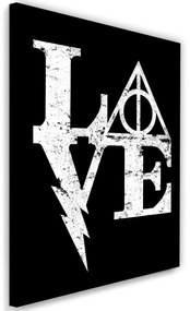 Gario Vászonkép Harry Potter, szeretet - Dr.Monekers Méret: 40 x 60 cm