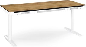 Elektromos ülő-álló íróasztal fiókkal és Qi vezeték nélküli töltővel fehér/aranytölgy, 1600 mm: ELLIS