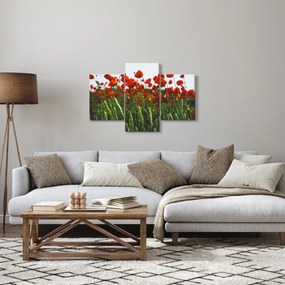 A pipacsok képe a szélben (90x60 cm)