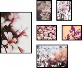 Poszterek 6db-os szett magnólia kép kompozíció