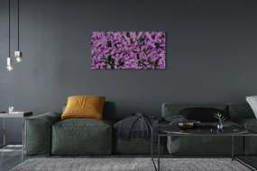 Canvas képek lila virágok 140x70 cm