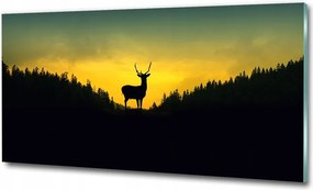 Fotó-kép fotó edzett üveg Szarvas 100x70