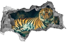 3d fali matrica lyuk a falban Tiger cave nd-b-121530926