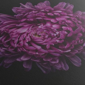 Lila virág képe (120x50 cm)