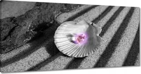 Vászonkép 180x90 Kagyló és gyöngy Homok