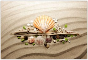 Poszterek 185x125 Kagylók Tengeri homok
