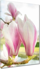 Vászonkép 80x120 Virágok