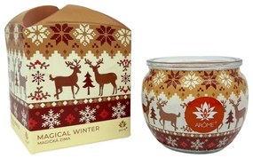 Arome gyertya üvegben és virágos dobozban,Magical Winter, 90 g