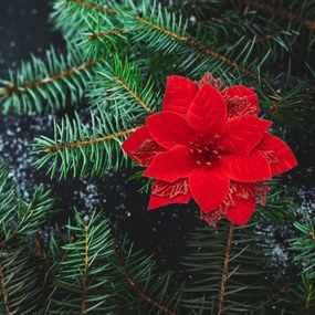 Karácsonyi dekoráció Poinsettia szarvasagancsos,piros, 6 darabos szett
