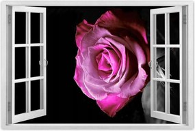 Poszterek 120x80 Lila rózsa