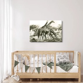 Kép - Zsiráfok, vintage (90x60 cm)