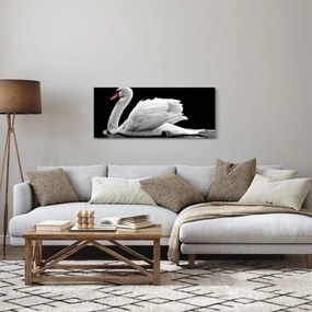 Fekete-fehér hattyúk képe (120x50 cm)
