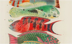 Flizelina Dekoratív Fotótapéta Hálószobába Egzotikus halak 416x254 Ragasztó