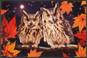 Lábtörlő bejárati szőnyeg|Wash+Dry|Baglyok 50x75cm