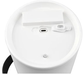 Napelemes LED kültéri lámpa (magasság 21 cm) Garcia – Trio