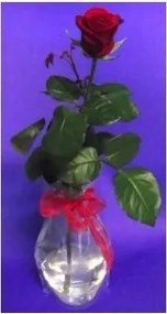 Kivágott Plasztikus Váza Dekoratív Otthoni Dekoráció Virág váza Gyönyörű