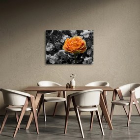 Virág képe (üvegen) (70x50 cm)