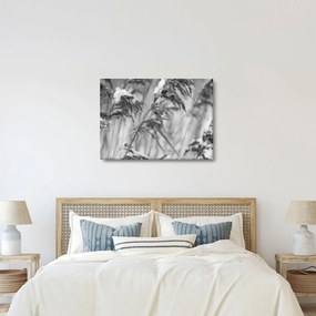 Kép - Lipnica, fekete-fehér (70x50 cm)