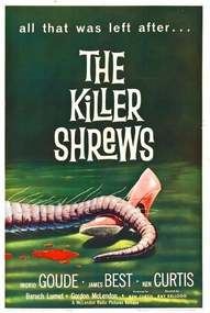 Illusztráció Killer Shrews