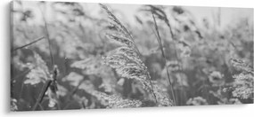 Kép - Fű a szélben (120x50 cm)