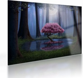 Kép - Varázslatos éjszaka (üvegen) (70x50 cm)