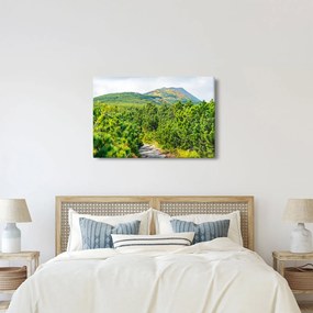 Kép - Babi Hora, Lengyelország (90x60 cm)