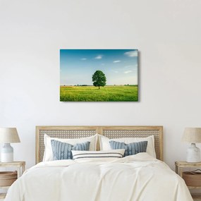Egy fa képe egy rét közepén (90x60 cm)
