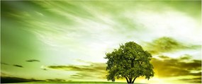 Kép - Az élet fája (120x50 cm)